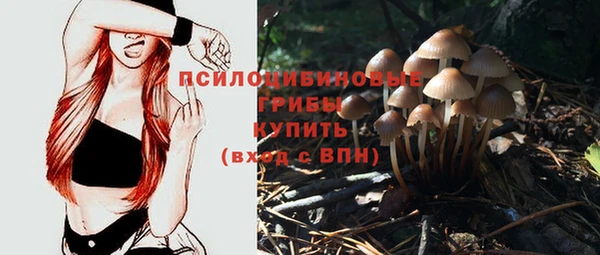круглые Нягань