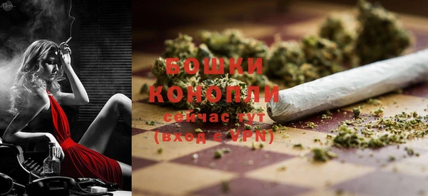 спиды Новодвинск