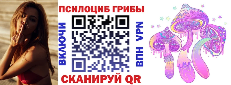 Галлюциногенные грибы Cubensis Касимов