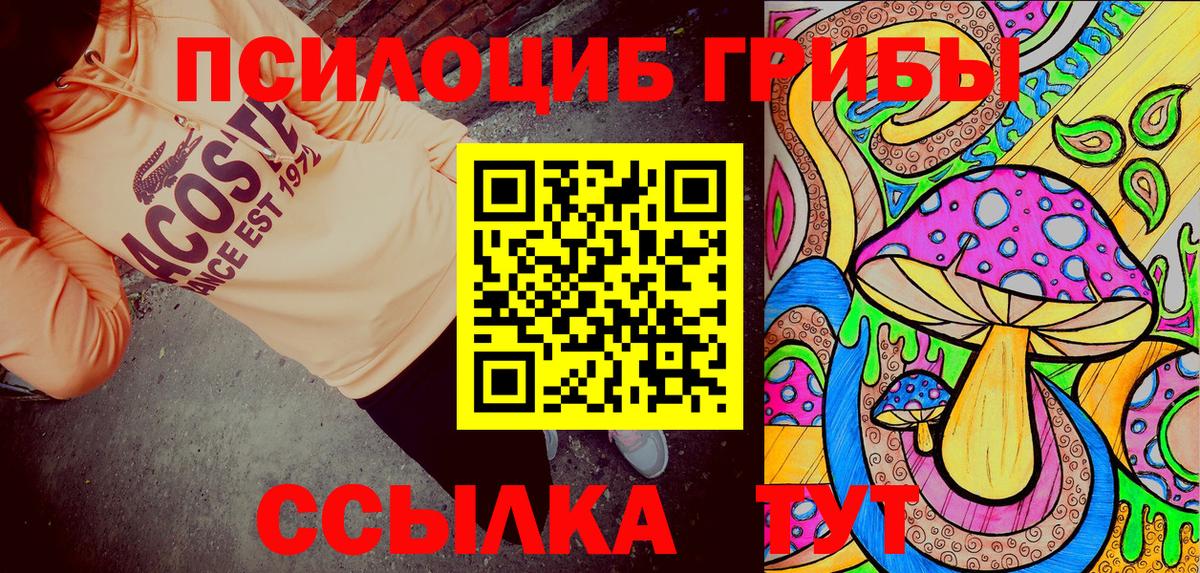 Галлюциногенные грибы Psilocybe Касимов