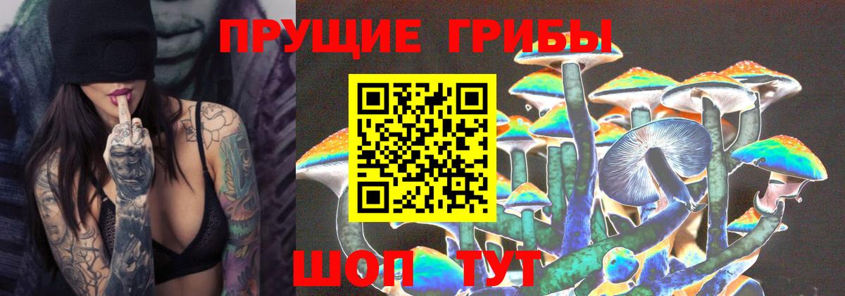 Галлюциногенные грибы Magic Shrooms  как найти закладки  Касимов  Вход с VPN 