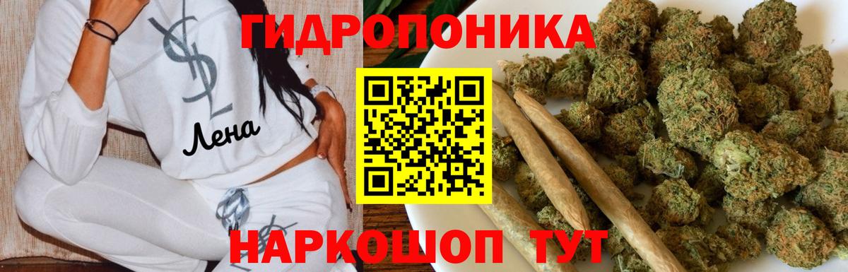 Бошки Шишки Bruce Banner Касимов